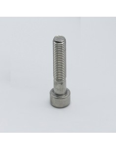 HE-VI08X45.TC - VITE PER MORSETTO M08X45 INOX