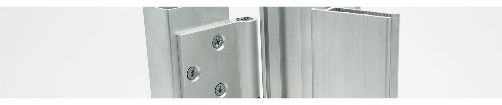 INTERIOR DOOR HINGES